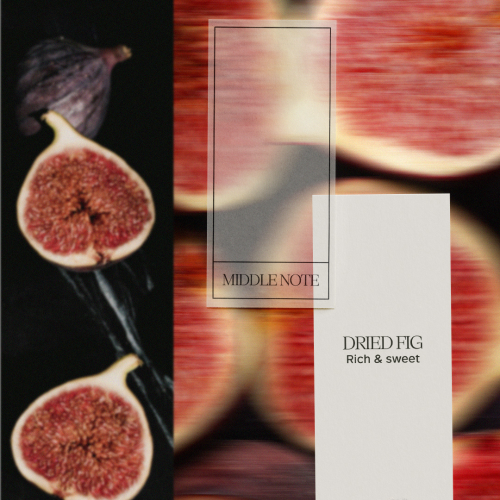 Middle Note: <br> FIG