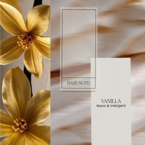 Base Note: <br> VANILLA